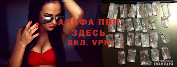 шишки Нея
