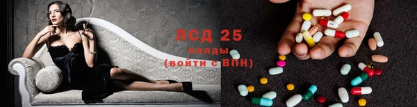 ГАЛЛЮЦИНОГЕННЫЕ ГРИБЫ Новозыбков