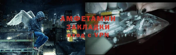 ГАЛЛЮЦИНОГЕННЫЕ ГРИБЫ Новозыбков