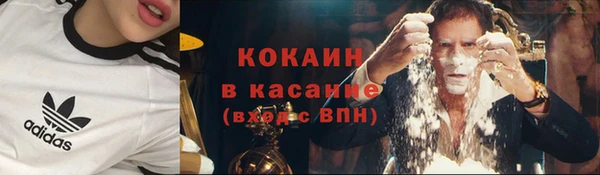 spice Новодвинск