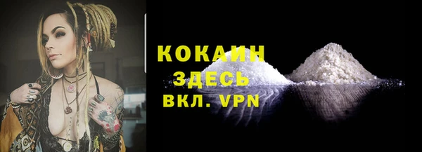 spice Новодвинск