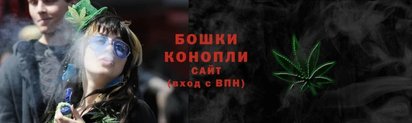 spice Новодвинск