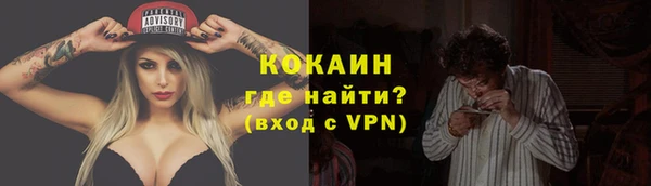 ГАЛЛЮЦИНОГЕННЫЕ ГРИБЫ Новозыбков