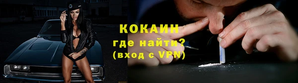 spice Новодвинск