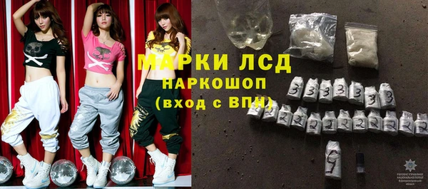 ГАЛЛЮЦИНОГЕННЫЕ ГРИБЫ Новозыбков