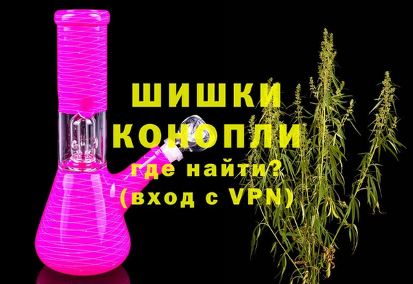 ГАЛЛЮЦИНОГЕННЫЕ ГРИБЫ Новозыбков