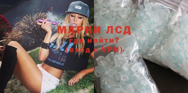 spice Новодвинск