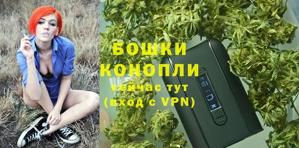 ГАЛЛЮЦИНОГЕННЫЕ ГРИБЫ Новозыбков