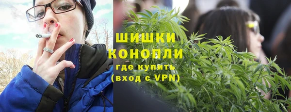spice Новодвинск
