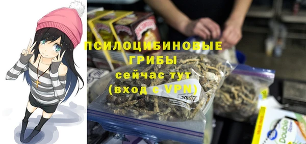 spice Новодвинск