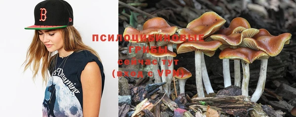 spice Новодвинск