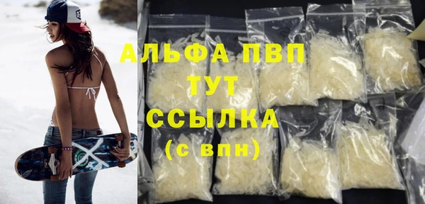 ГАЛЛЮЦИНОГЕННЫЕ ГРИБЫ Новозыбков