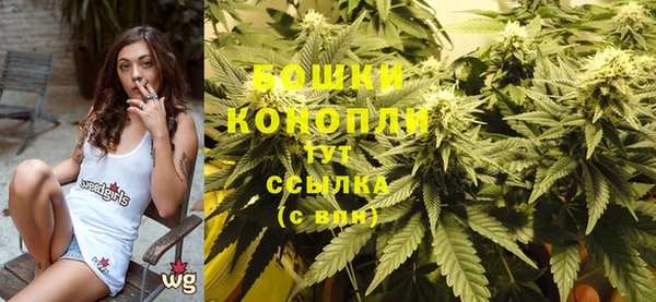 ГАЛЛЮЦИНОГЕННЫЕ ГРИБЫ Новозыбков